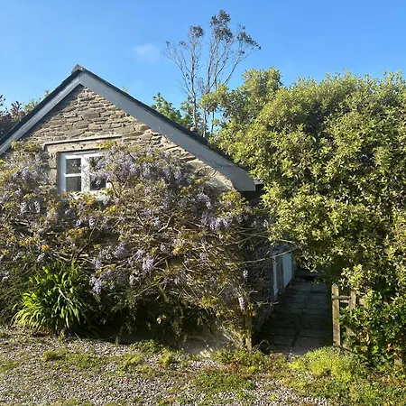 Wisteria Cottage Truro Exterior photo